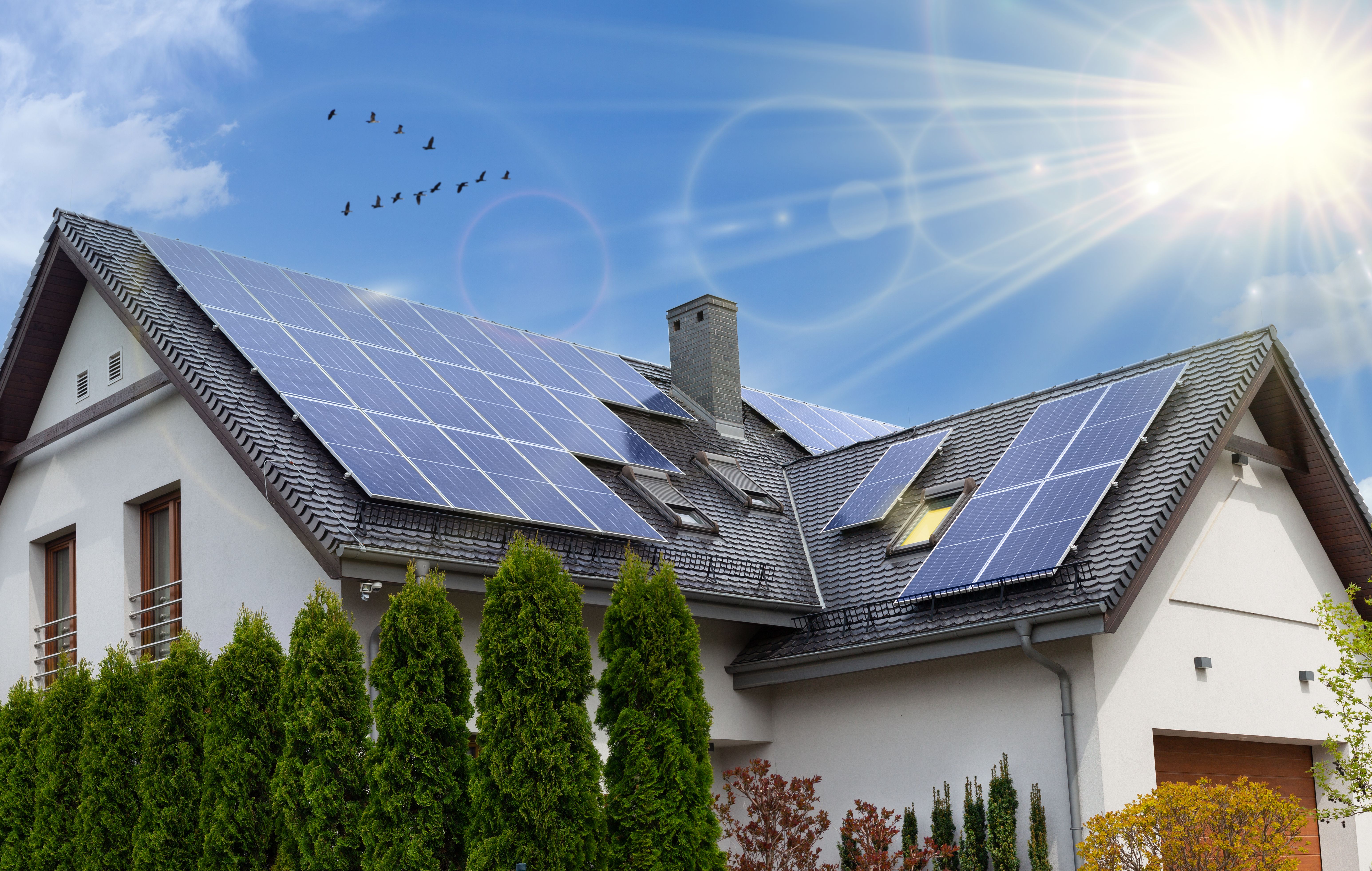 The Housing Market Turns Green – Sustainable Properties Gain Ground in Summer 2020