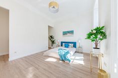 Bright apartment on Vámház Boulevard